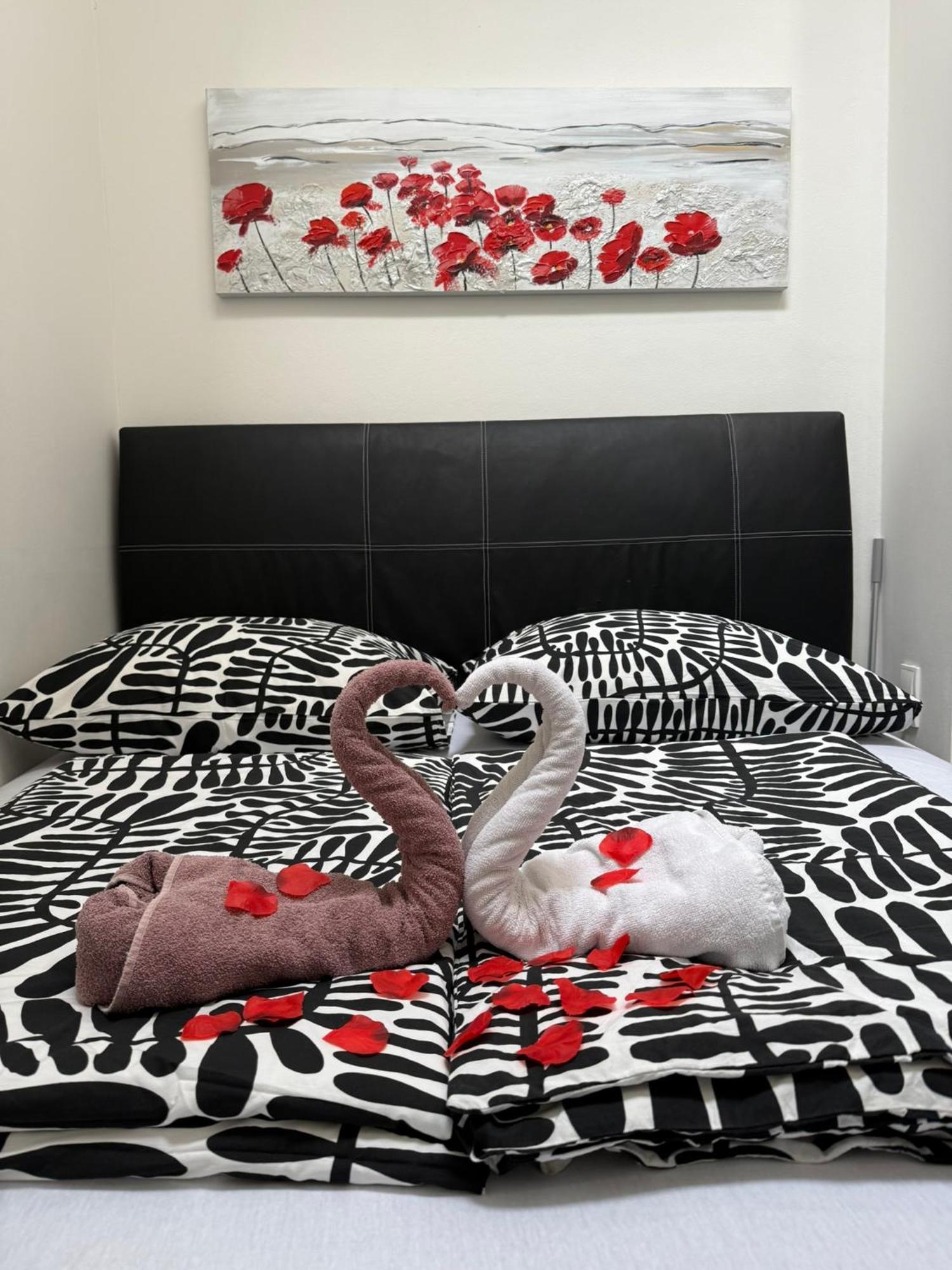 V Blízkosti Centra Brna Apartamento